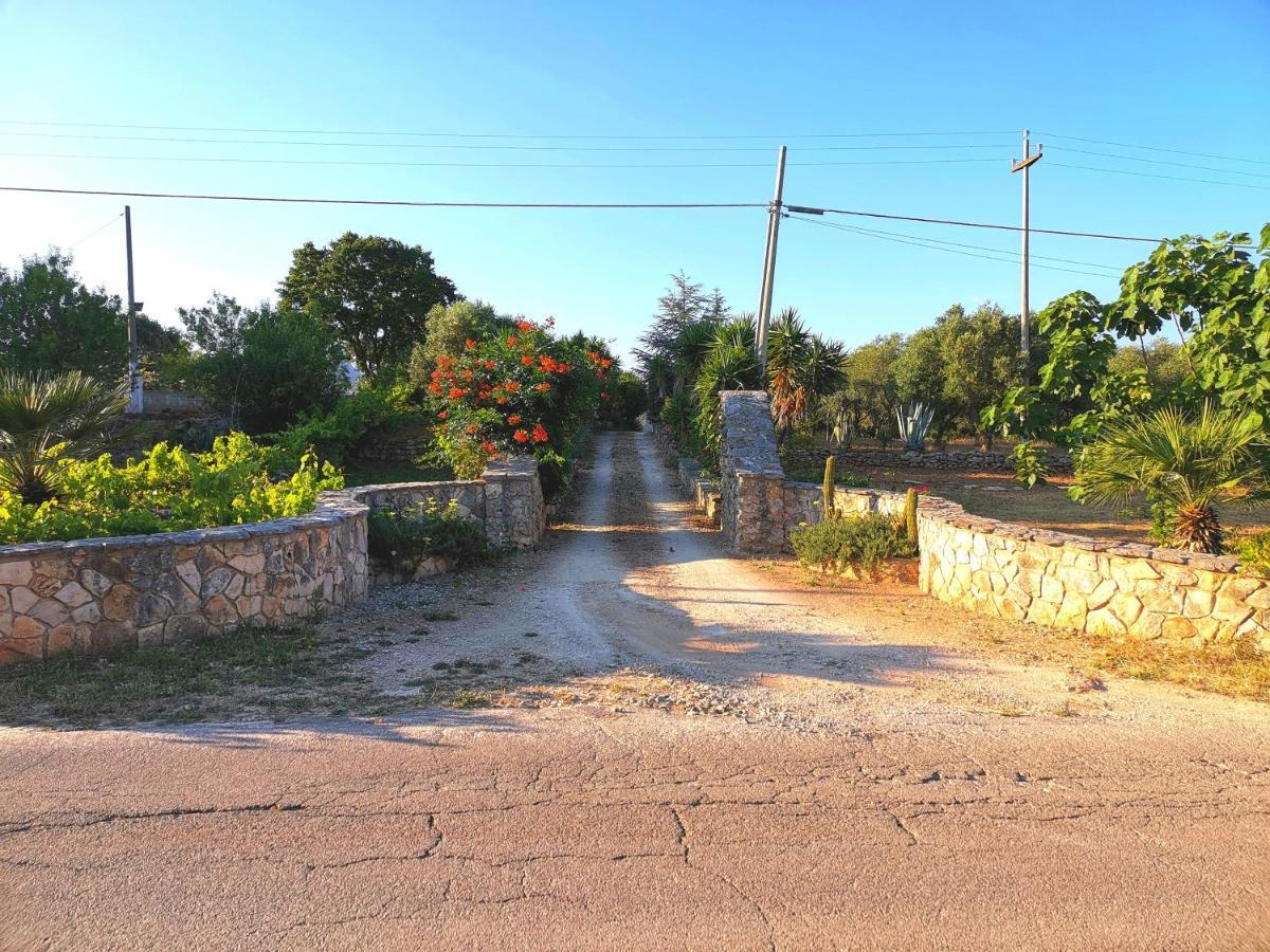 Holiday home Trullo Madia E Dimora Giorgio *